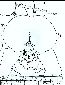 misc 006.jpg